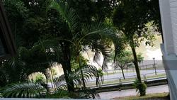 Blk 683C Choa Chu Kang Crescent (Choa Chu Kang), HDB 5 Rooms #130385022